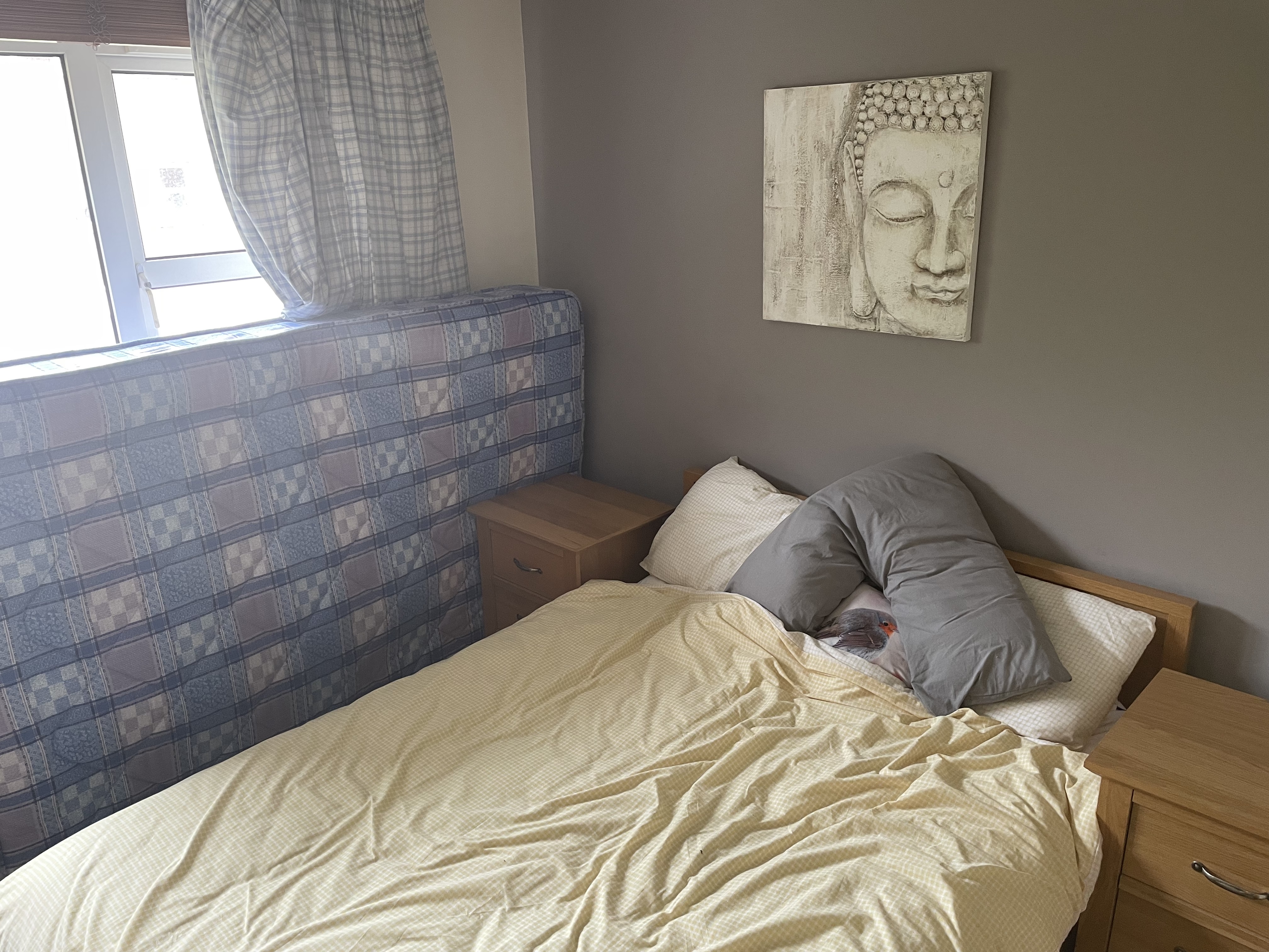 img0760